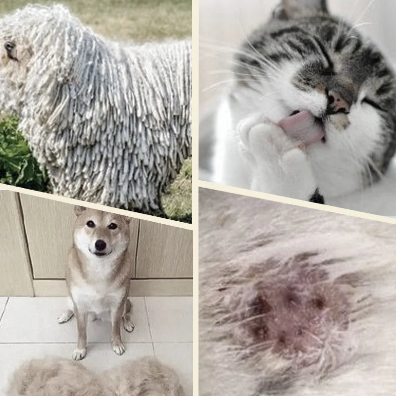 Dubbelsidig tovutredare för hund och katt