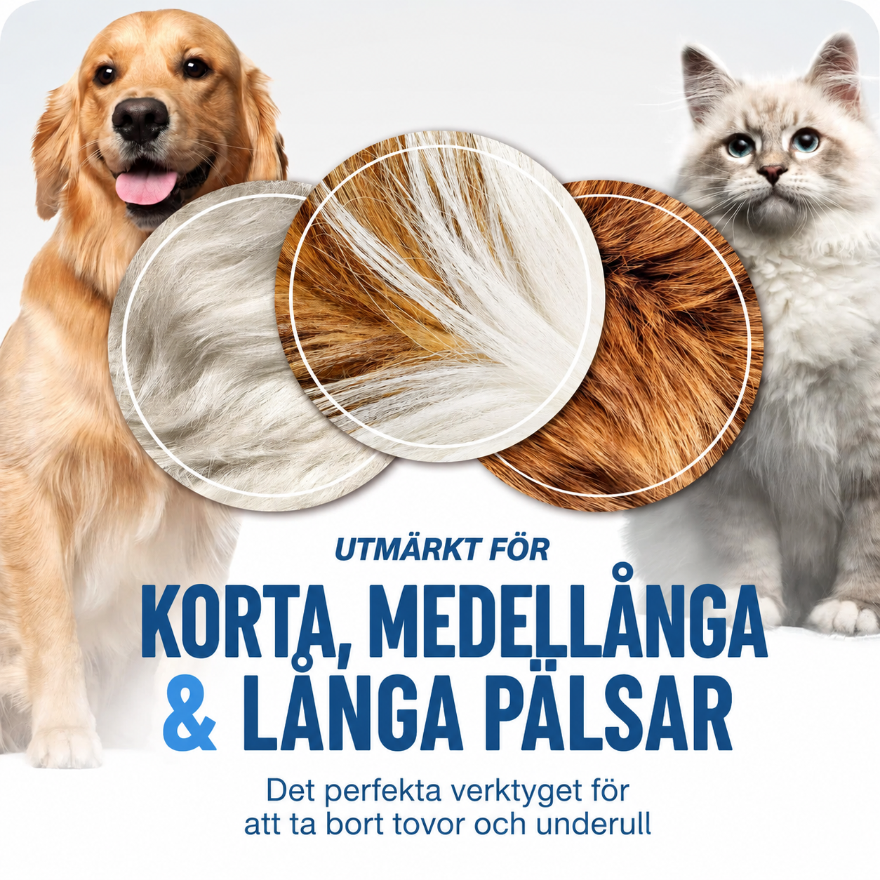 70efdf2ec9b086079795c442636b55fb_69c7e0a9-09c8-44fa-84b7-33e68f78d928.png