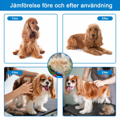 c9f0f895fb98ab9159f51fd0297e236d_fbed58e0-2b62-472e-9161-da68e0de9f98.png