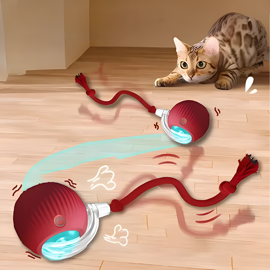 Catfri® CatBall: Automatisk interaktiv kattleksak som lockar till lek