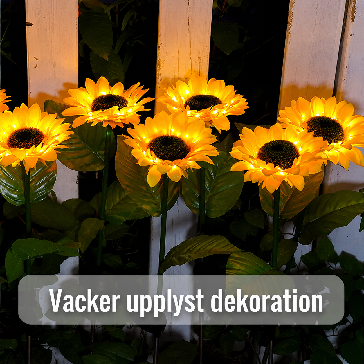 spp_20250625120355_65e5ca976b75cc4d18864a75a062087d_c10522fc-d925-4ad6-8d10-f7b26275b778.png